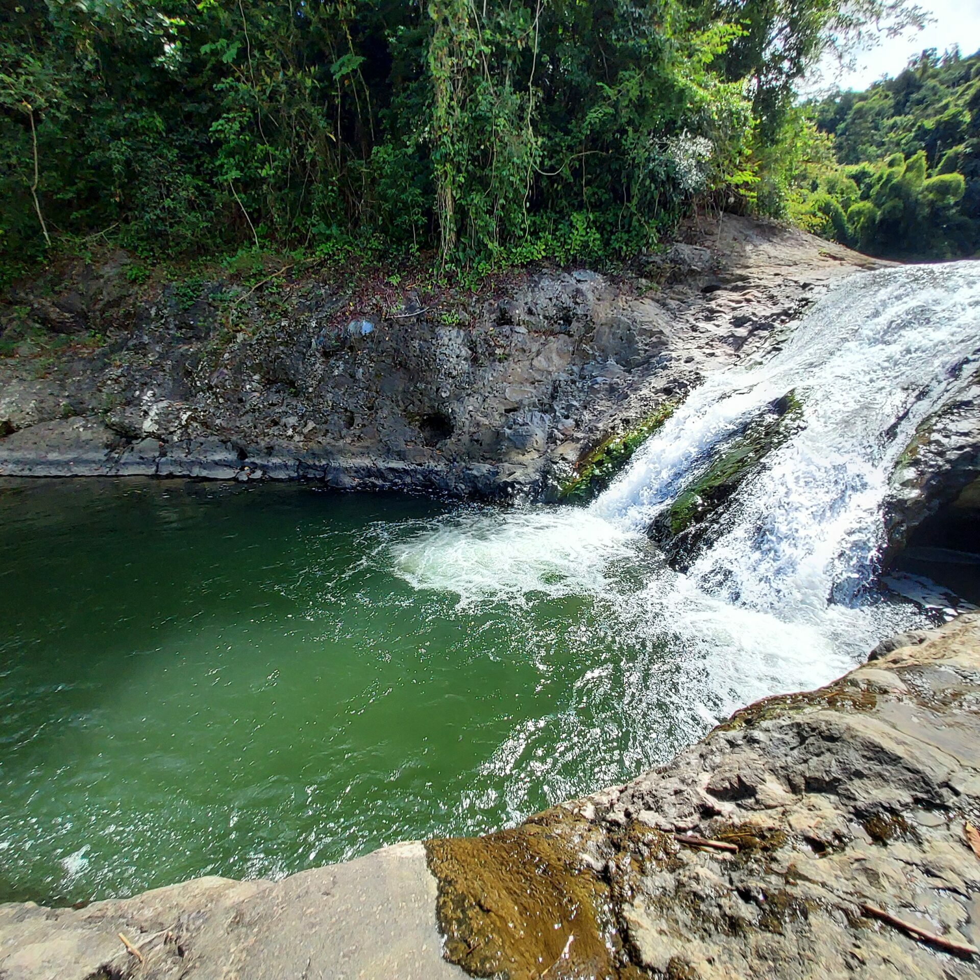 Charca El Grito, Lares, Puerto Rico