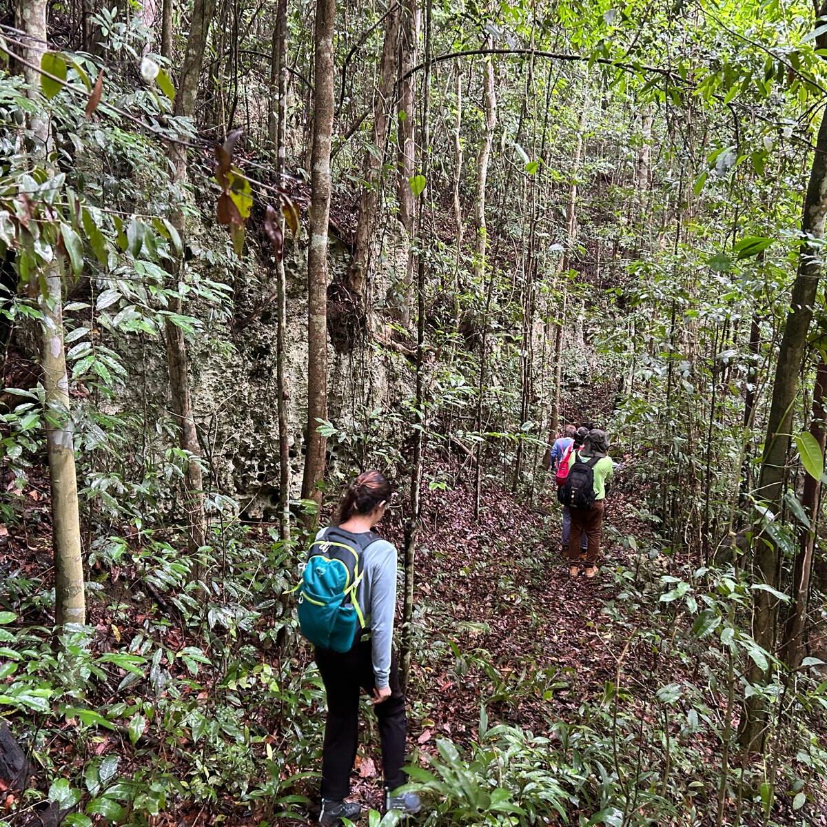 Caminata por la Ruta Campesina
