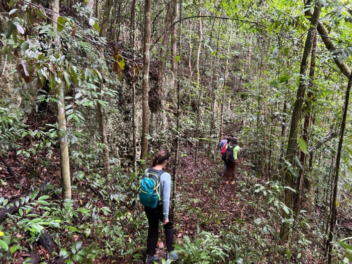 Caminata por la Ruta Campesina